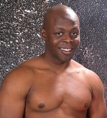 Will Tile, США Will Tile,