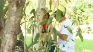 Парни трахают и делают куни будущим тёщам