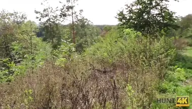 Пикапер оттрахал за деньги в анал Susan Ayn на глазах куколда