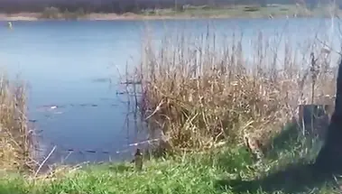 Двойник Друже Обломова учит жарить шашлыки и попу девки у реки