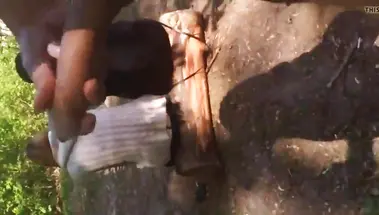 Онанист спугнул двух студенток, подрочив перед ними хуй в парке