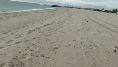 Силиконовая губошлепка Brandi Bae дрочит хуй незнакомца на пляже