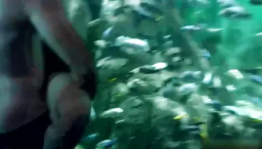 Секс стоя Эмми Россам в океанариуме в «Бесстыжих»