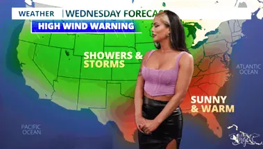 Транссексуальный прогноз погоды с ведущей-ледибоем Домино Пресли