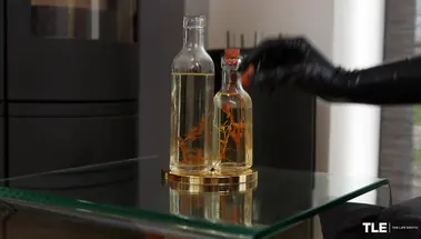 Смазанная маслом красотка Бетц в латексных перчатках играет со своей дыркой