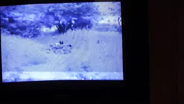 Мертвая девушка из колодезя Эвелин Деллай преследует член бедолаги