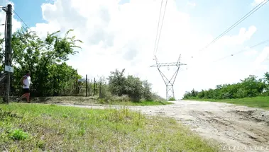 Эмили Пинк изучает собственное анальное зияние с опытным учителем